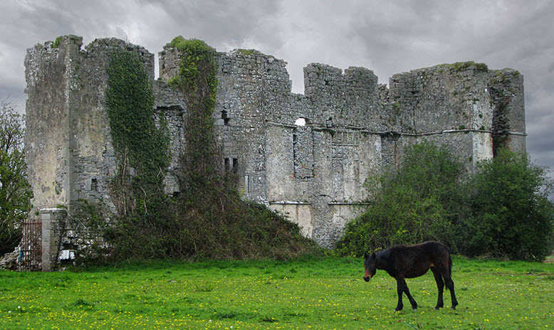 Rathcline Castle, Republic of Ireland, Ireland